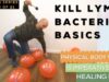 KILL LYME BACTERIA BASICS