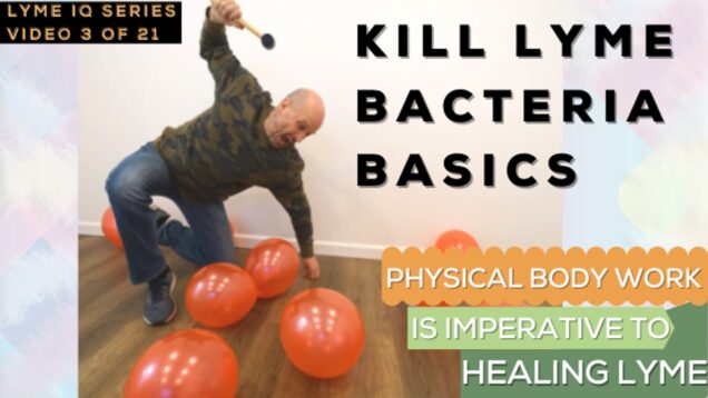 KILL LYME BACTERIA BASICS