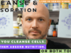 Cleanse and Absorption