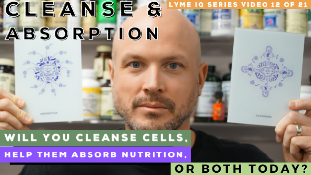 Cleanse and Absorption