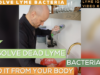 DISSOLVE LYME BACTERIA