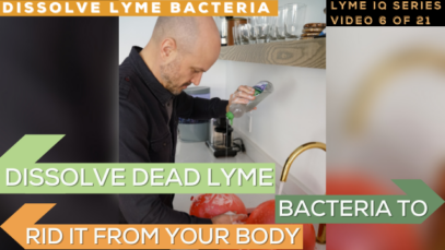 DISSOLVE LYME BACTERIA