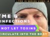 Lyme Coinfections