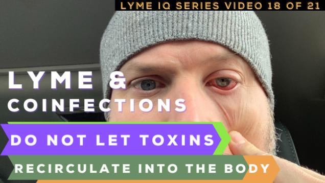 Lyme Coinfections